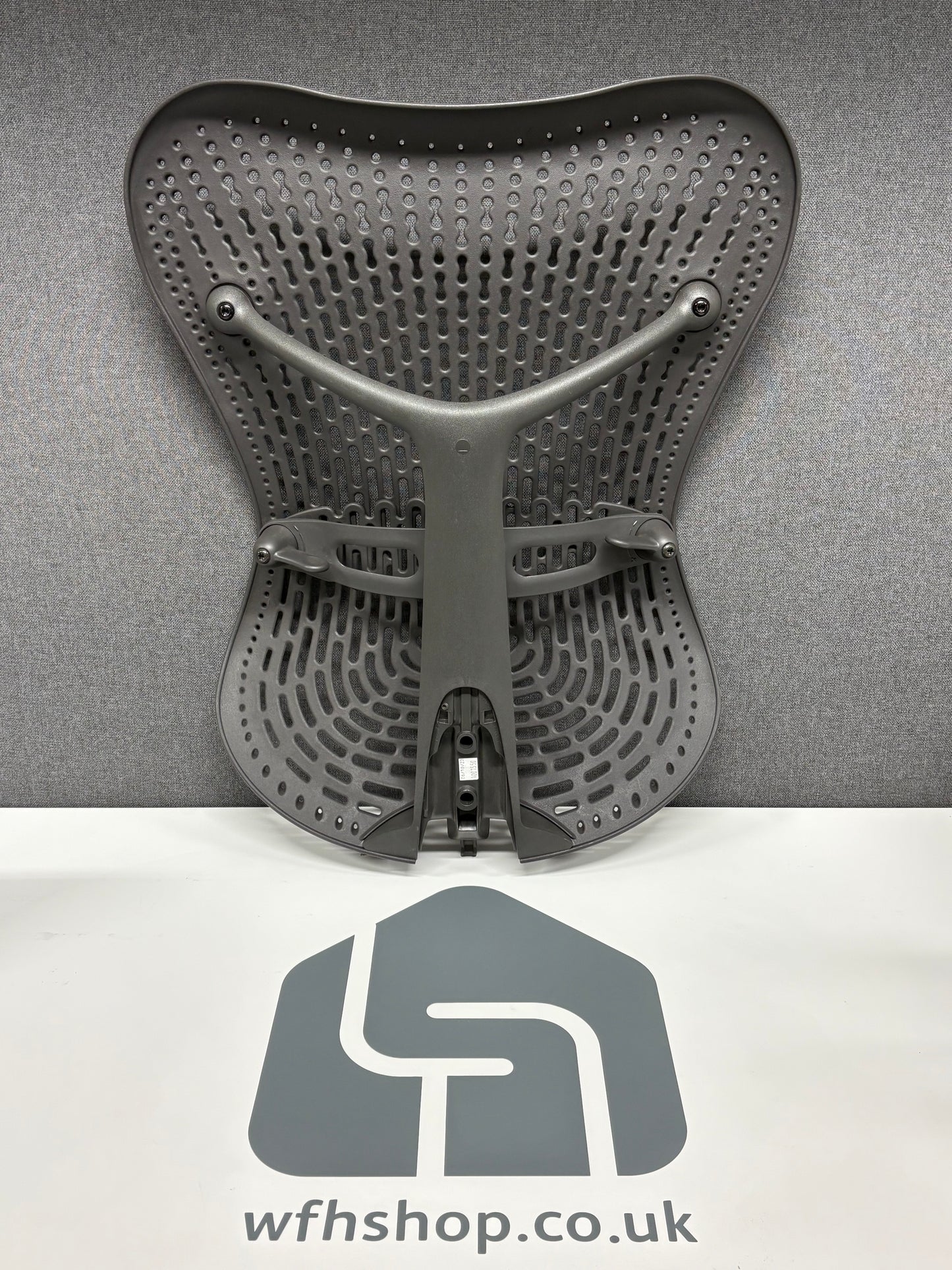 Mirra 1 Back Assembly - Graphite