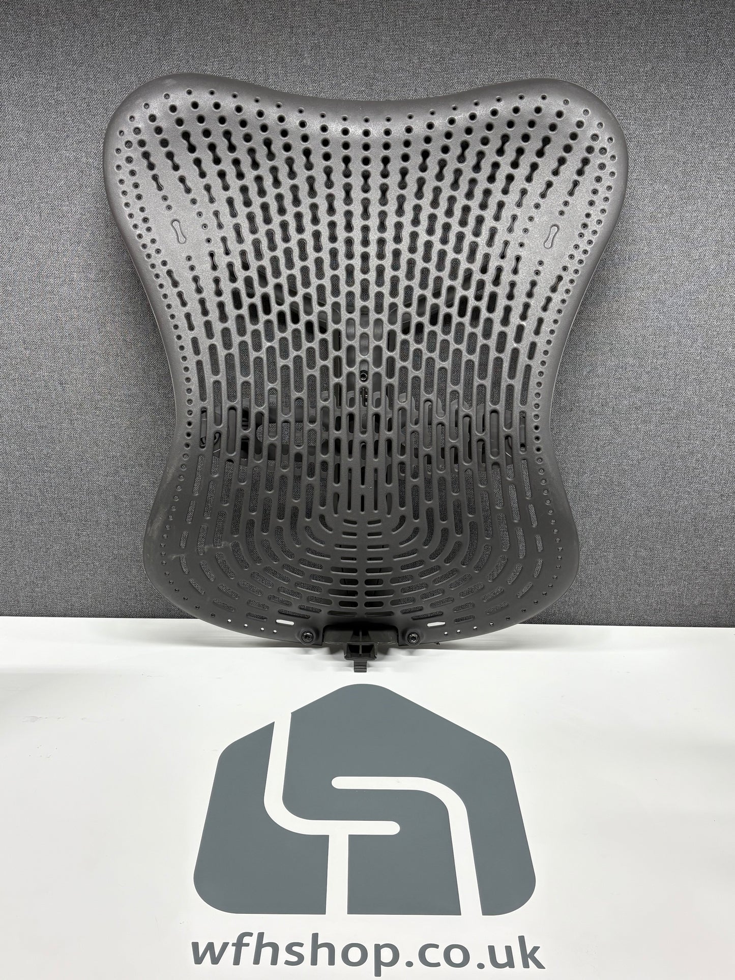Mirra 1 Back Assembly - Graphite
