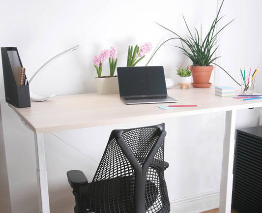 Herman Miller Nevi Desk