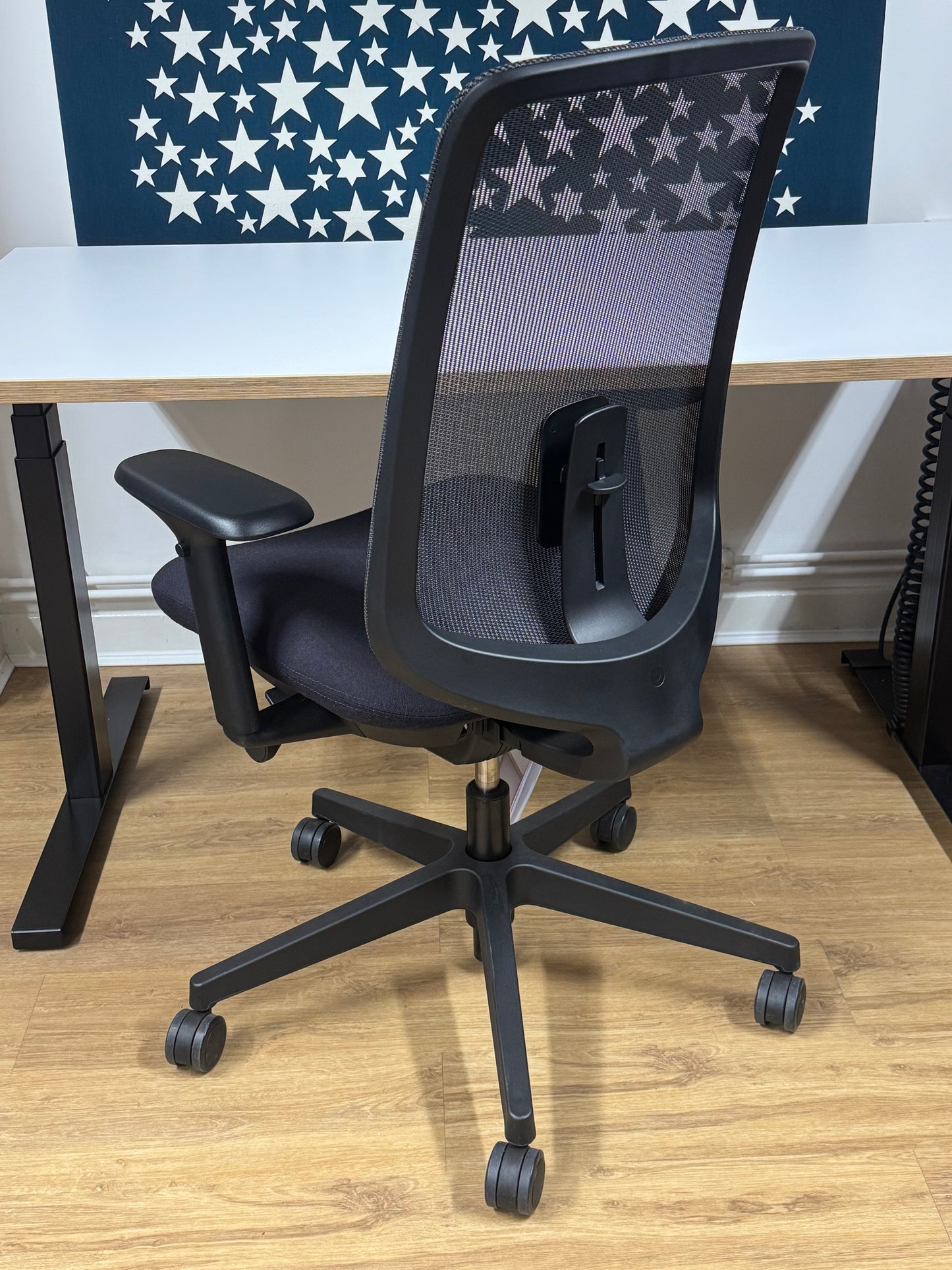 Herman Miller Verus Chair Mesh Back