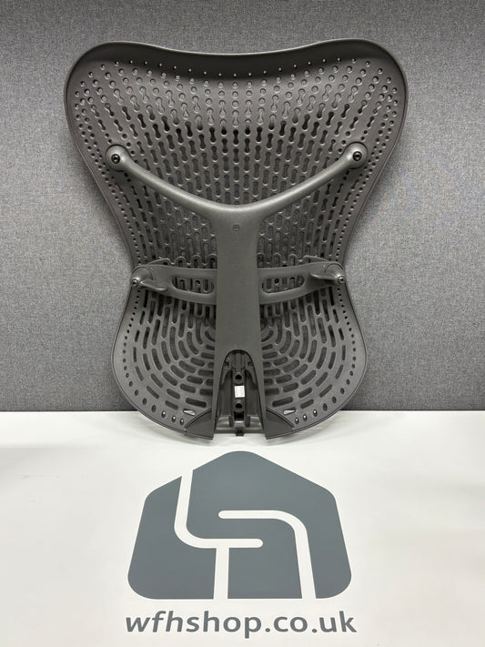 Mirra 1 Back Assembly - Graphite
